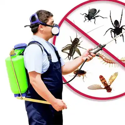 pest control Teaticket